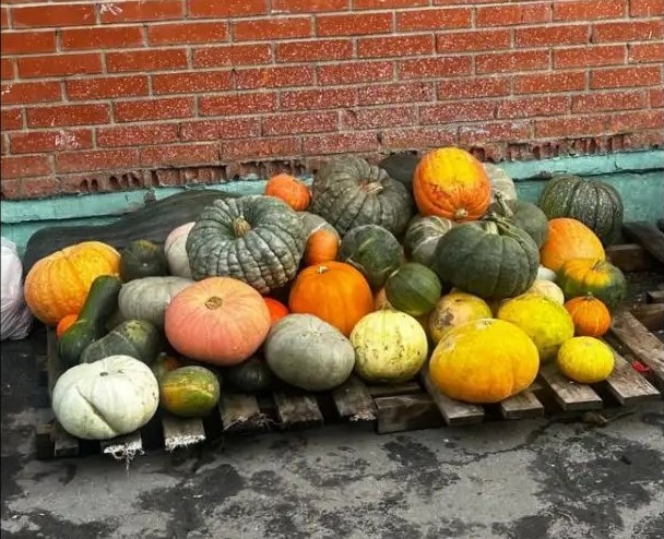 Урожай 1.jpg